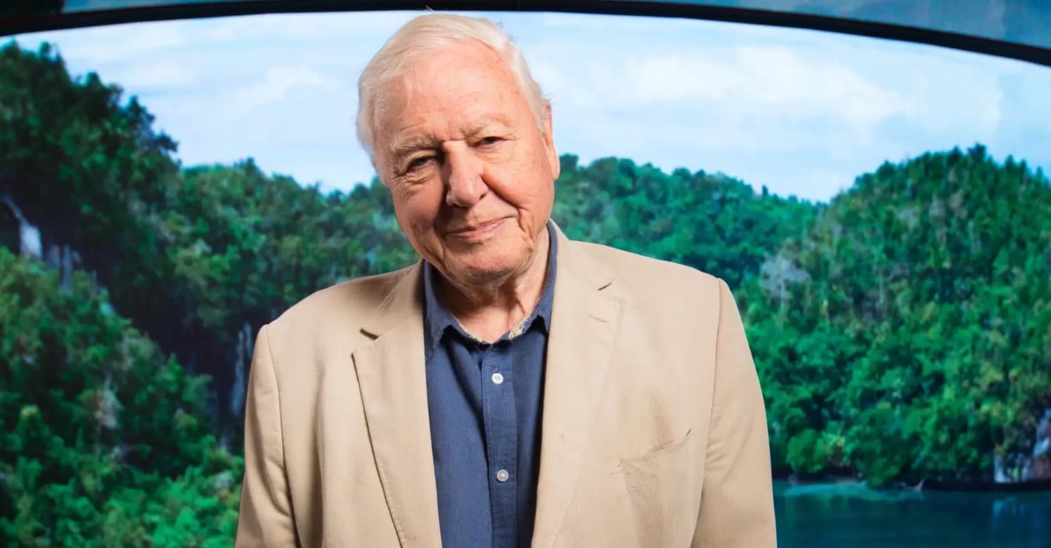 David Attenborough earned an eye-watering amount per minute from recent TV shows