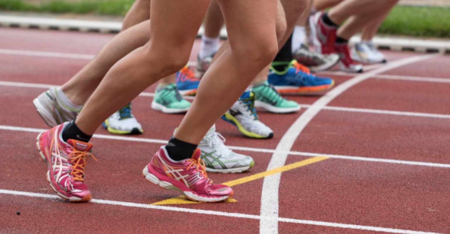 Rogue dog crashes track meet and wins relay race