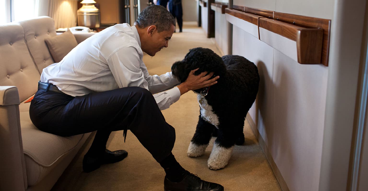 Barack Obama reveals former 'first dog' Bo has died