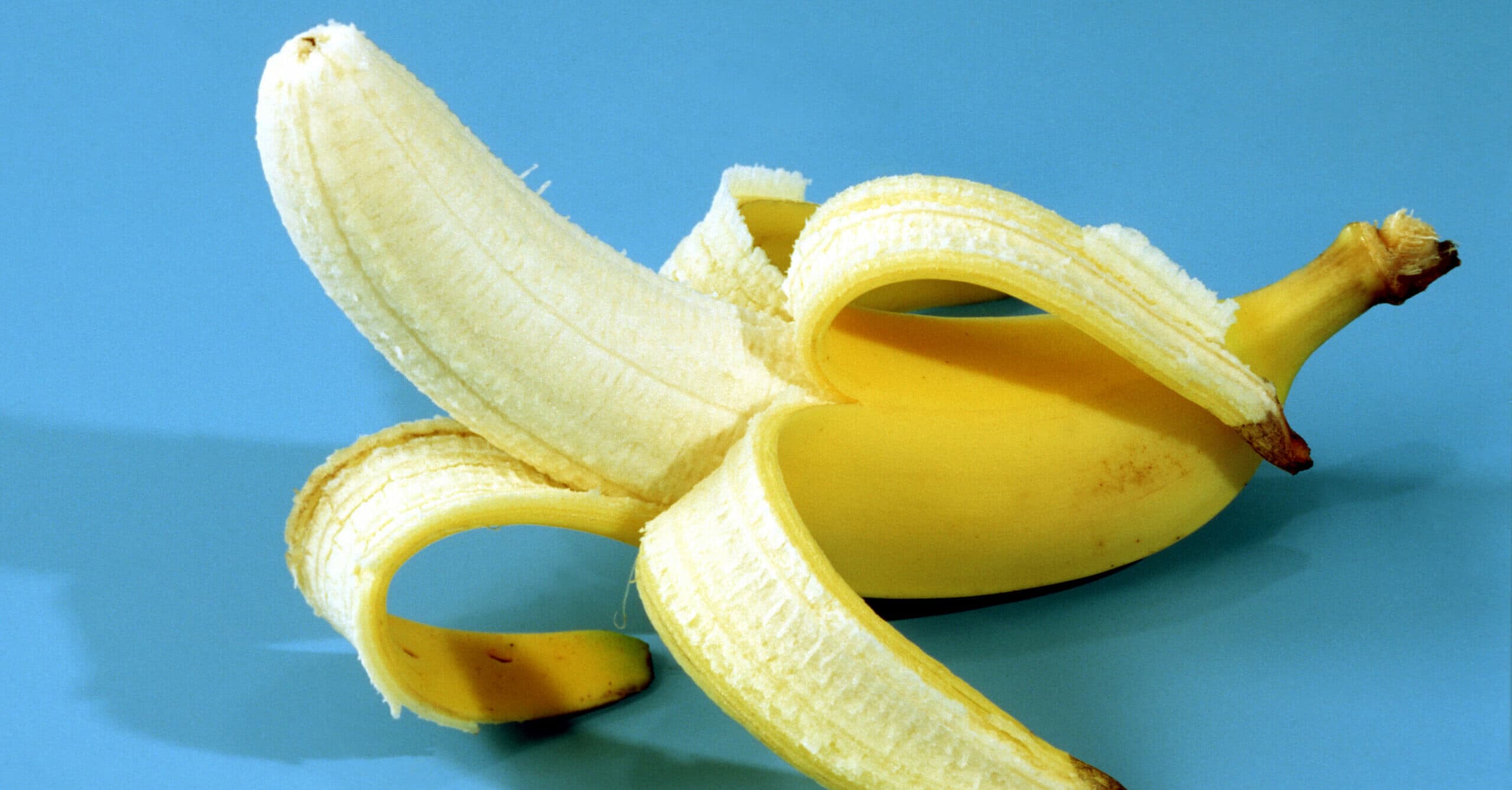 'Hungry' student eats $120,000 banana art exhibition