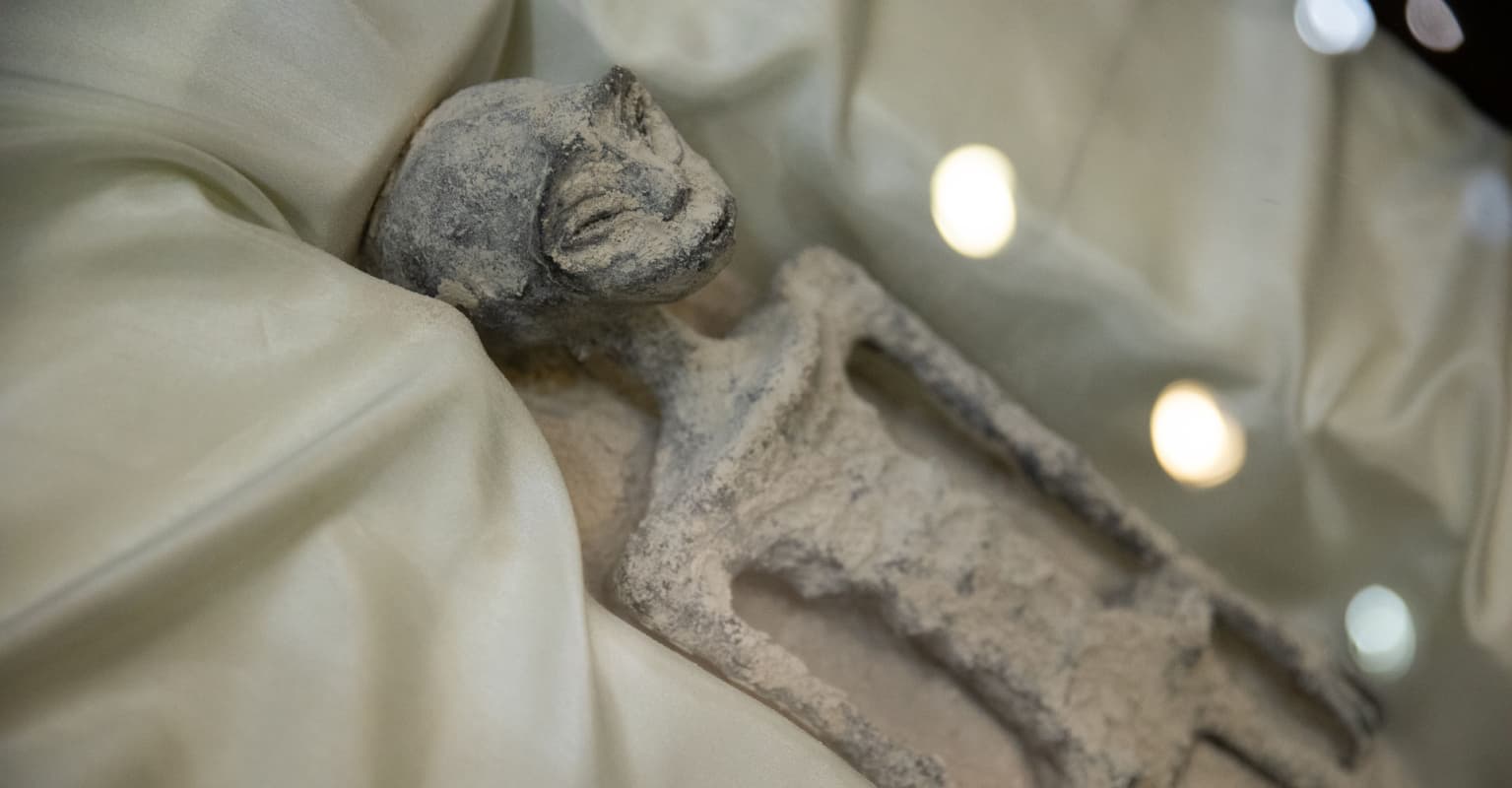 Mexican 'aliens corpses' allegedly found to have 30% DNA of 'unknown species'