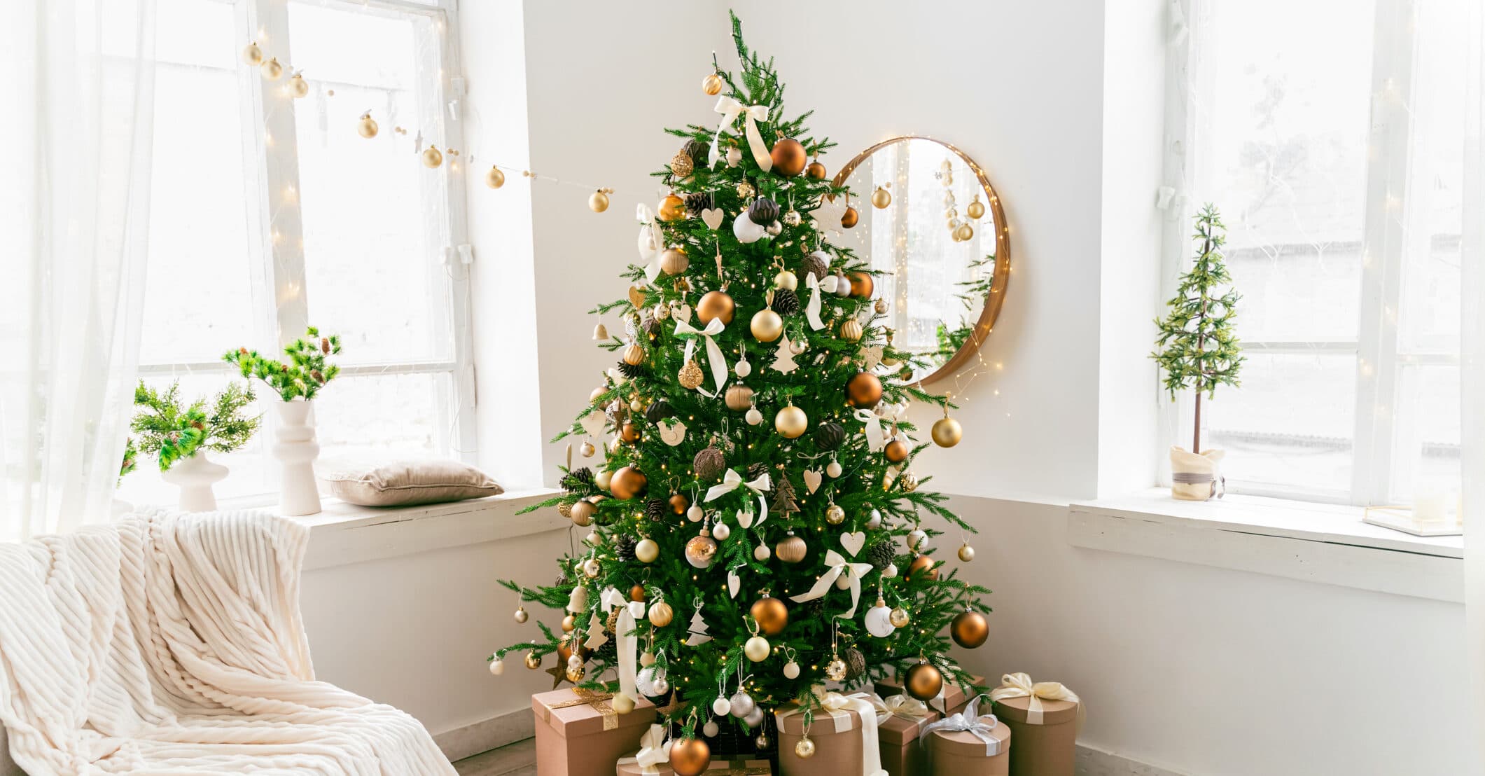 Social media users warned to check Christmas trees for clumps that 'must be removed immediately'