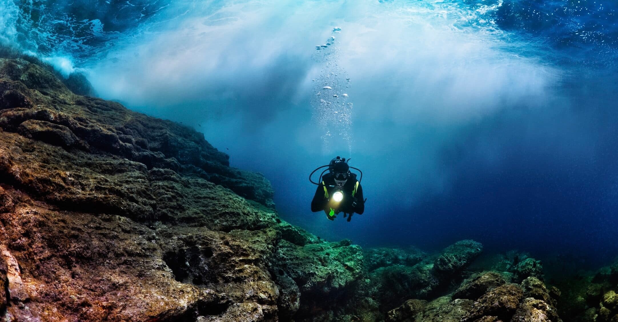 Scientists have discovered over 100 new species in deep-sea expedition
